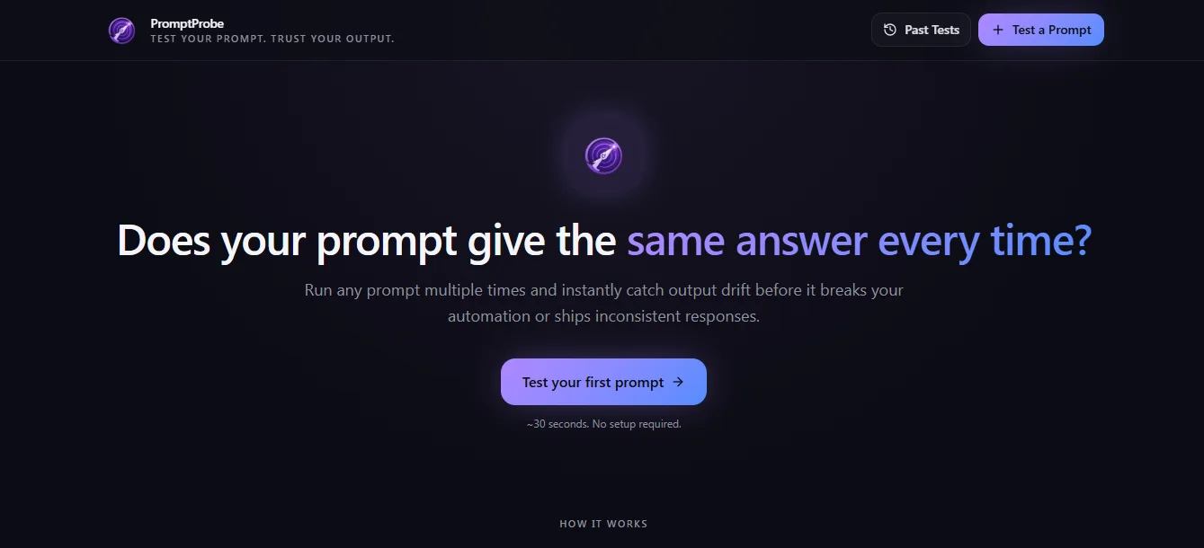 PromptProbe screenshot