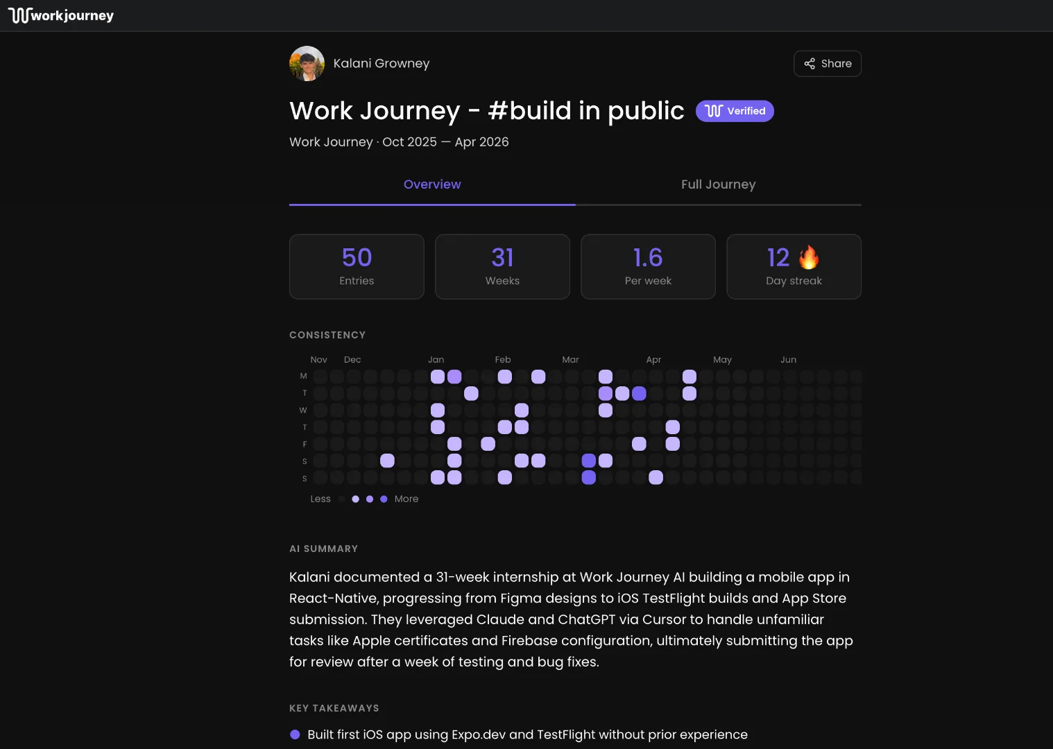 WorkJourney screenshot